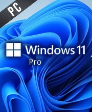 Windows 11 Pro