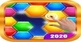 Hexa Block Puzzle