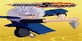 NTBSS Master Character Training Pack Tobirama Senju PS4